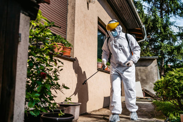 Best Exterminator Services  in Morton, IL