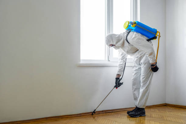 Best Wildlife Control Services  in Morton, IL