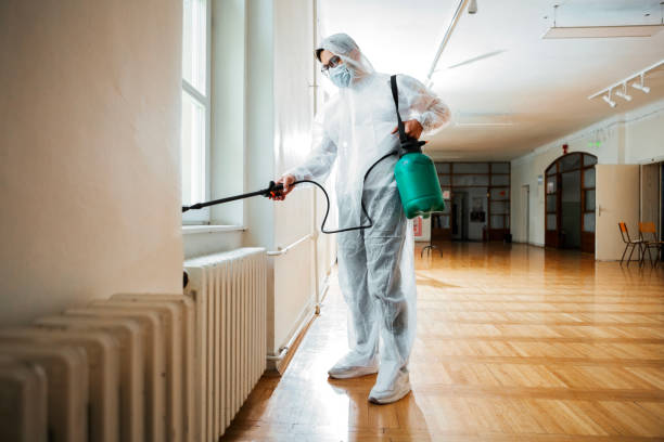 Best Mosquito Control Services  in Morton, IL
